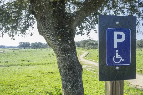 Track Suitable Disabled People Sign Post Natural Park Enviroment — Stock Photo, Image