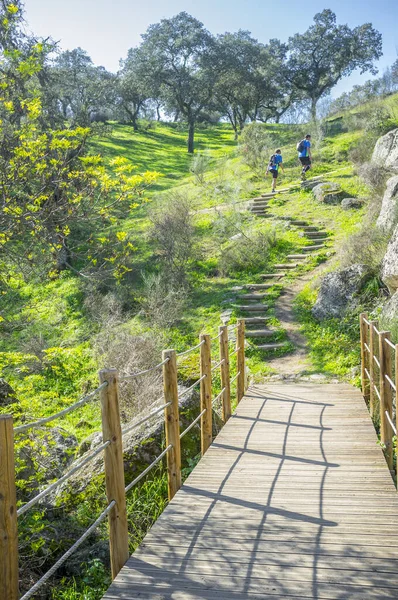 Trekkers Wandelen Langs Muelas Cornalvo Natuurpark Extremadura Spanje — Stockfoto