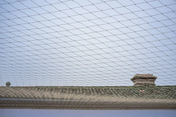 Kuşları uzak tutmak için avluyu çevreleyen ağ. Kuş Kontrol Ağı kavramı