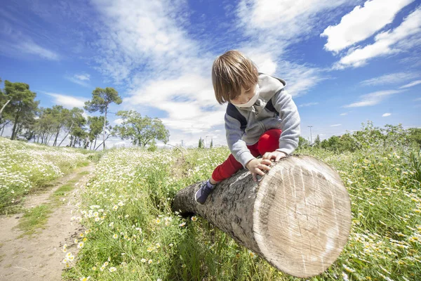 Kleine Jongen Die Een Boomstam Speelt Het Midden Van Het — Stockfoto