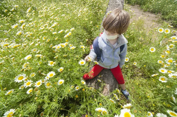 Rapazinho Brincar Num Tronco Meio Campo Margarida Ele Usa Uma — Fotografia de Stock