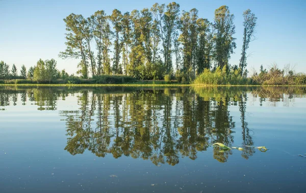 Boom Bedekte Eiland Guadiana River Bank Dicht Bij Badajoz City — Stockfoto