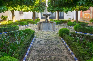 Cordoba, İspanya - 7 Aralık 2018: Cordoba Güzel Sanatlar Müzesi avlusu, İspanya. Hayır kurumunun eski hastanesi