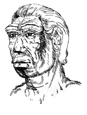 Homo Erectus 'un Portresi. Katalonya Arkeoloji Müzesi, Barselona, İspanya