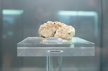 Barcelona, İspanya - 27 Aralık 2019: Cova de Gegant, Sitges, İspanya 'dan Neanderthal çene kemiği parçası. Katalonya Arkeoloji Müzesi, Barselona