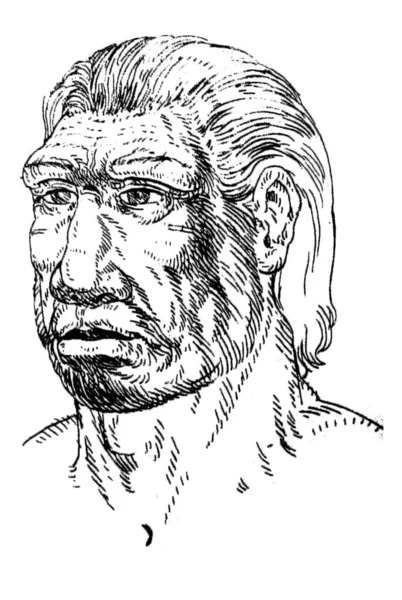 Retrato Del Hombre Neanderthal También Llama Homo Sapiens Neanderthalensis Dibujo —  Fotos de Stock