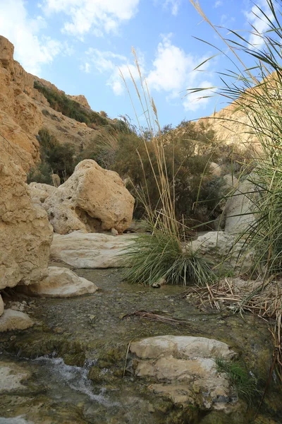 El arroyo que fluye en el mar muerto — Foto de Stock