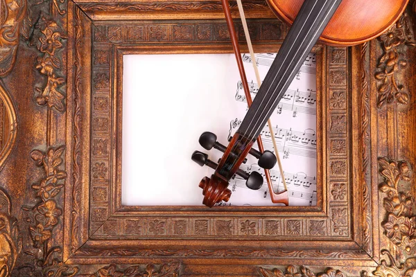 Violinista e violino — Foto Stock