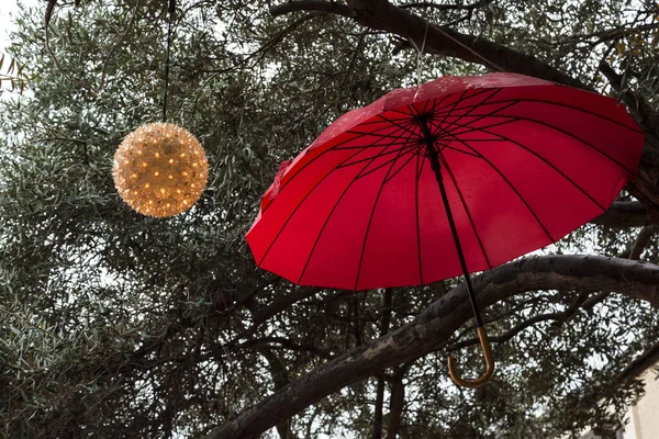 Raining Red Umbrella Hanging Tree — Stock Photo, Image