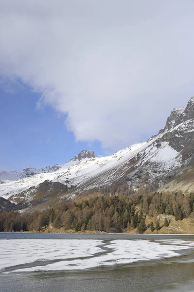 Valle de Engadin en Suiza Sils Maria pueblo con nieve en las montañas de los Alpes y lago congelado — Foto de Stock