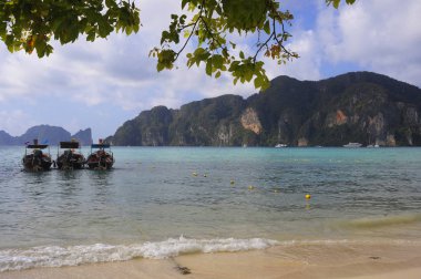  paradise beach koh phi phi Island Tayland adlı gemilerde uzun kuyruk 