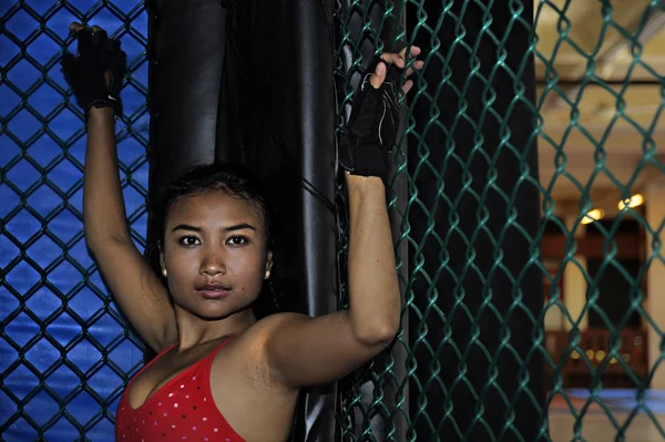 beautiful and sexy Asian fighter woman in fighting gloves and sport clothes inside MMA cage posing cool