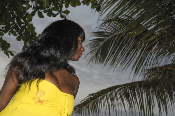 şık ve zarif yaz elbise rahat poz içinde çekici ve göz alıcı Afro-Amerikan siyah kadın