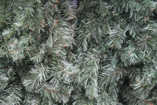 クリスマスツリーの背景の緑の枝は — ストック写真