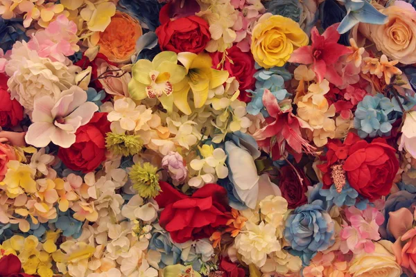 Güllerin farklı renklerinde çiçek arkaplanı kırmızı, mavi...