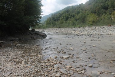 Kuru nehir yatağı nehir kıyısında kayalar, ıslak kum ağaçları ve çalılar kıyılarda yetişir.