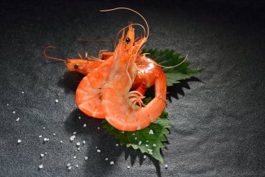 Pişmiş karides, karides ile baharat üzerinde arka plan taş.