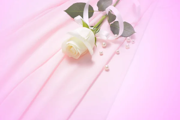Rosa branca flor feita com filtros de cor — Fotografia de Stock