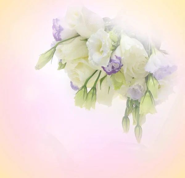 Bellissimo bouquet di fiori realizzati con filtri colore — Foto Stock