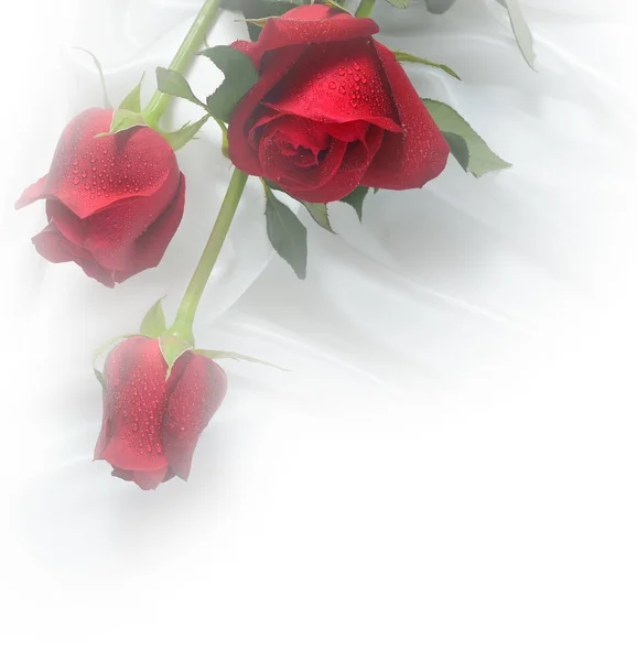 Fiore di rose rosse realizzato con filtri colore — Foto Stock