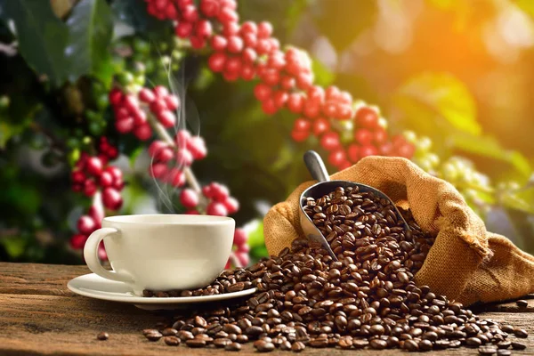 Kahve çuvala coff üzerinde duman ve kahve fasulye ile