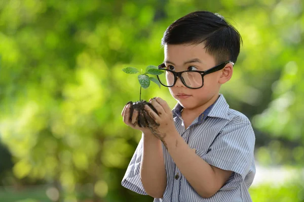 젊은 식물 좋은 환경의 희망으로 손에 들고 아이 — 스톡 사진