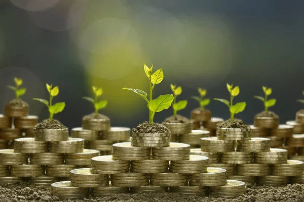 Kép Halom Érmék Növény Tetején Üzleti Megtakarítás Növekedés Gazdasági Koncepció — Stock Fotó