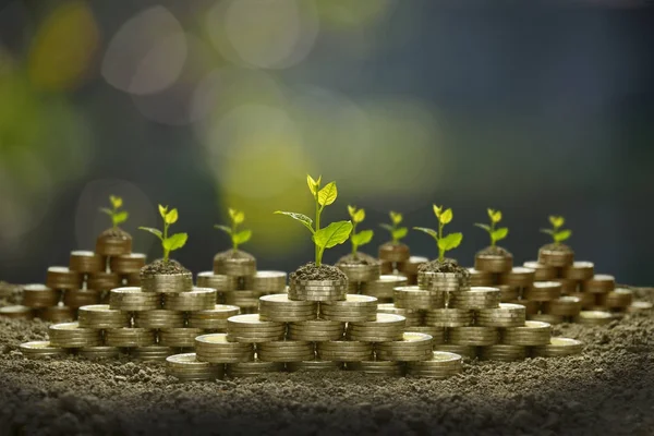 Imagem Pilha Moedas Com Planta Cima Para Negócios Economia Crescimento — Fotografia de Stock