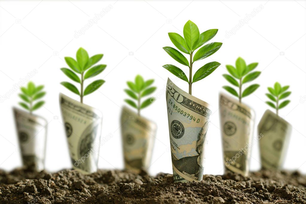 Image of bank notes rolled around plants on soil for business, saving, growth, economic concept isolated on white background                                                           