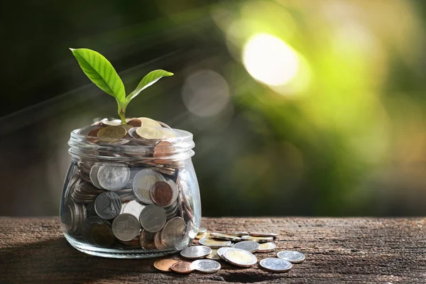 Imagen Pila Monedas Con Planta Encima Tarro Vidrio Para Negocios —  Fotos de Stock