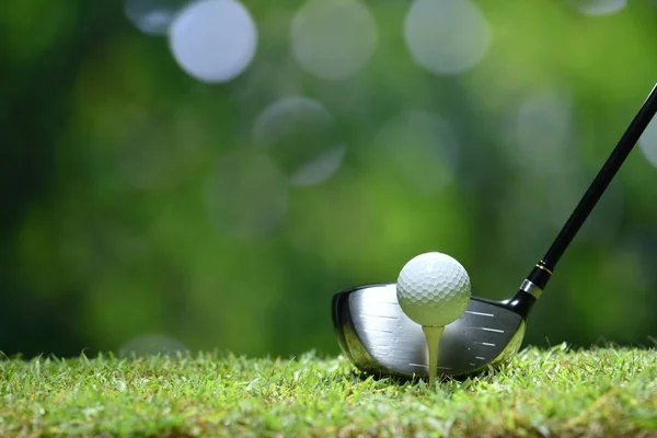 Bola Golfe Grama Verde Pronto Para Ser Atingido Fundo Campo — Fotografia de Stock