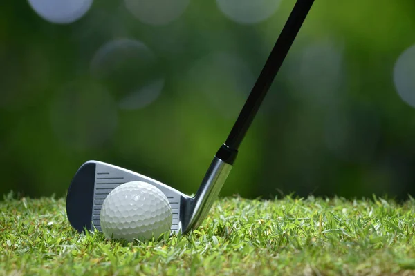 Bola Golfe Grama Verde Pronto Para Ser Atingido Fundo Campo — Fotografia de Stock