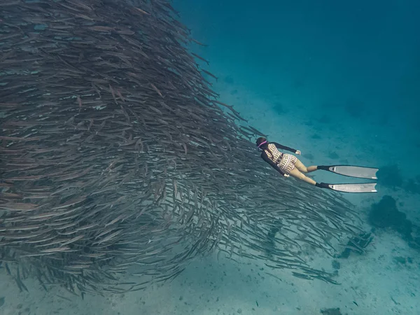 Immersioni in apnea con scuola di barracuda — Foto Stock