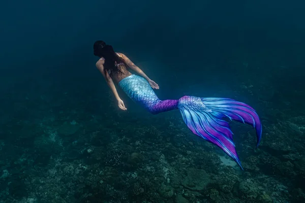 Seksi denizkızı kostümlü kadın serbest dalgıç.. — Stok fotoğraf