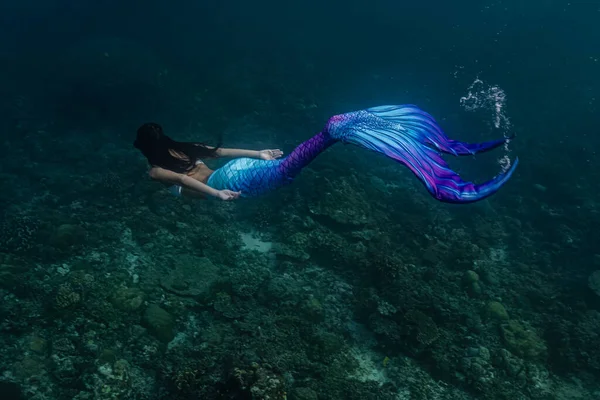 Feminino mergulhador livre em sexy sereia traje . — Fotografia de Stock