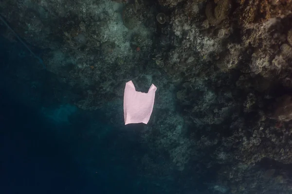 Tek kullanımlık plastik ve sığ bir resifte balık sürüsü. Plastik, okyanustaki kirliliğin en büyük etkenlerinden biridir..