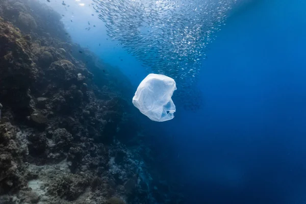 一次性塑料和鱼群在浅礁中 塑料是造成海洋污染的主要原因 — 图库照片