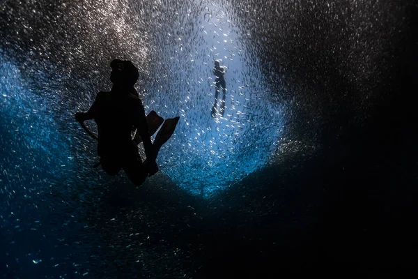 Ein Freitaucher Taucht Einem Riesigen Fischschwarm Unter Wasser Während Ein — Stockfoto