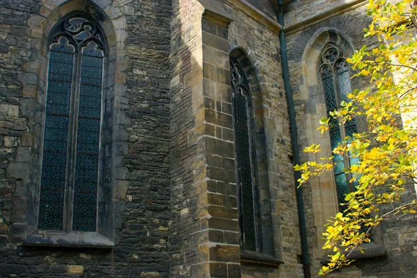 Prag 'daki gotik barok kilise azizi Peter, çan kulesiyle, camlarda mozaik ve ağaçla günbatımı