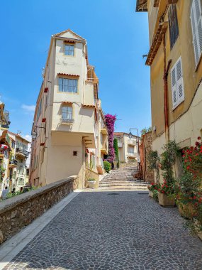 Nice, Fransa 'da ot çiçekleri olan Dar Tepe Caddesi..