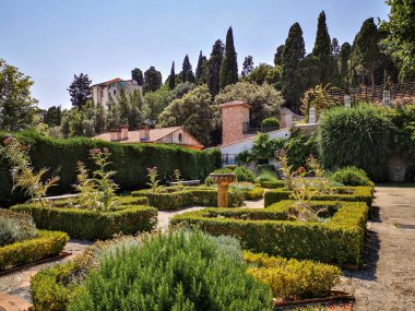 Nice, Fransa 'da ağaç sanatıyla dolu güzel bir şehir parkı..