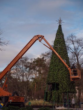 İşçiler parktaki Noel ağacını süslüyor.