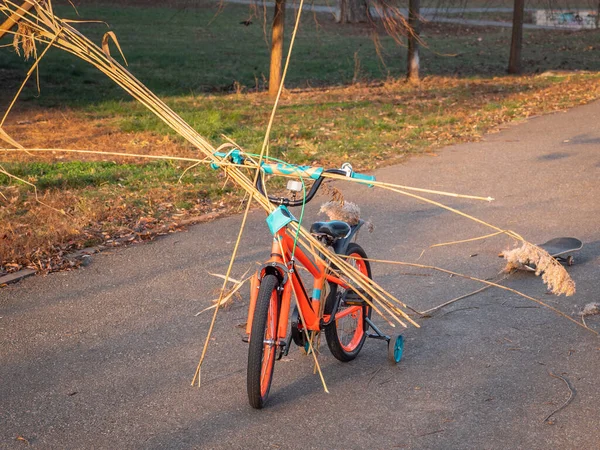 Kinderfiets geladen met bulrush en skateboard. Actieve ga — Stockfoto