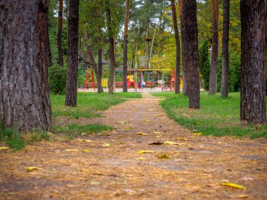 Sarı yapraklı ve köknar iğneli bir parkın üzerinde renkli çocuklara oyun parkı ve ip parkı gösteren bir manzara. Çocuklar oynuyor ve insanlar bir bankta oturuyor. Güzel şehir doğasının tadını çıkarıyorlar..