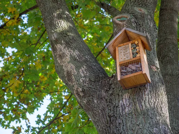 Şık Modern Ahşap Bir Kuş Evi Büyük Eski Bir Ağacın — Stok fotoğraf