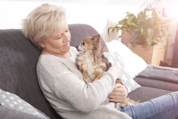 Hund auf dem Schoß — Stockfoto