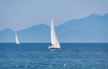 Güneşli bir günde mavi denizde yarışan iki beyaz lüks yelkenli.. 