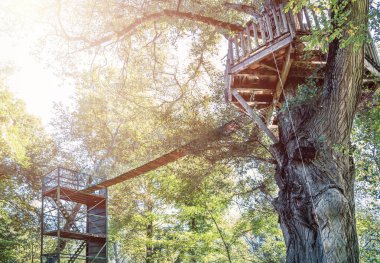 Yeşil ormanda Gökyüzü Parkı inşaatı