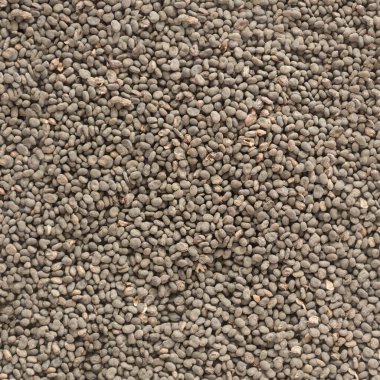 Babchi (Psoralea Corylifolia) organik kuru tohum dokusu. Arkaplan şablonu. Bakuchiol - retinol alternatif kavramı.