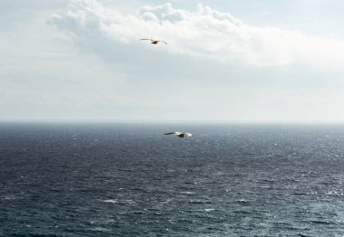 Dalgalı turkuaz deniz suyu